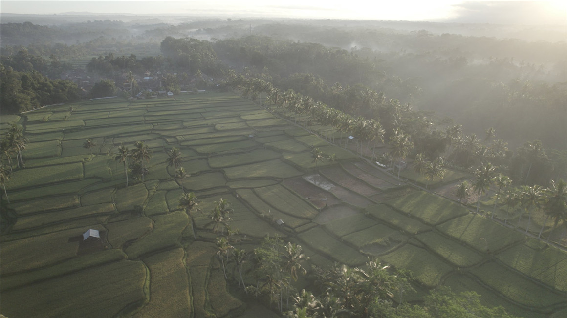 Luca Epifany Filmic LUTS 热门胶片电影美学旅拍电氛围感LUT+PoweGrade调色节点 插件预设 第15张-素材湾丨精选海外优质设计素材资源 Luca Epifany Filmic LUTS 热门胶片电影美学旅拍电氛围感LUT+PoweGrade调色节点 插件预设 sucaiwan.com