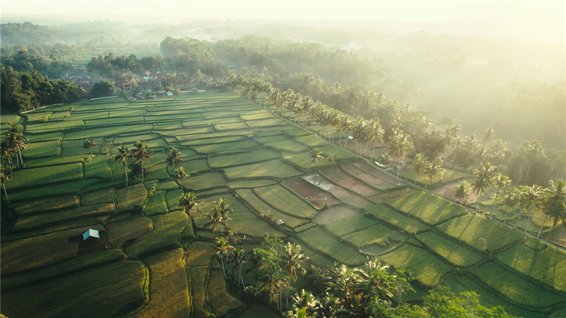 Luca Epifany Filmic LUTS 热门胶片电影美学旅拍电氛围感LUT+PoweGrade调色节点 插件预设 第16张-素材湾丨精选海外优质设计素材资源 Luca Epifany Filmic LUTS 热门胶片电影美学旅拍电氛围感LUT+PoweGrade调色节点 插件预设 sucaiwan.com