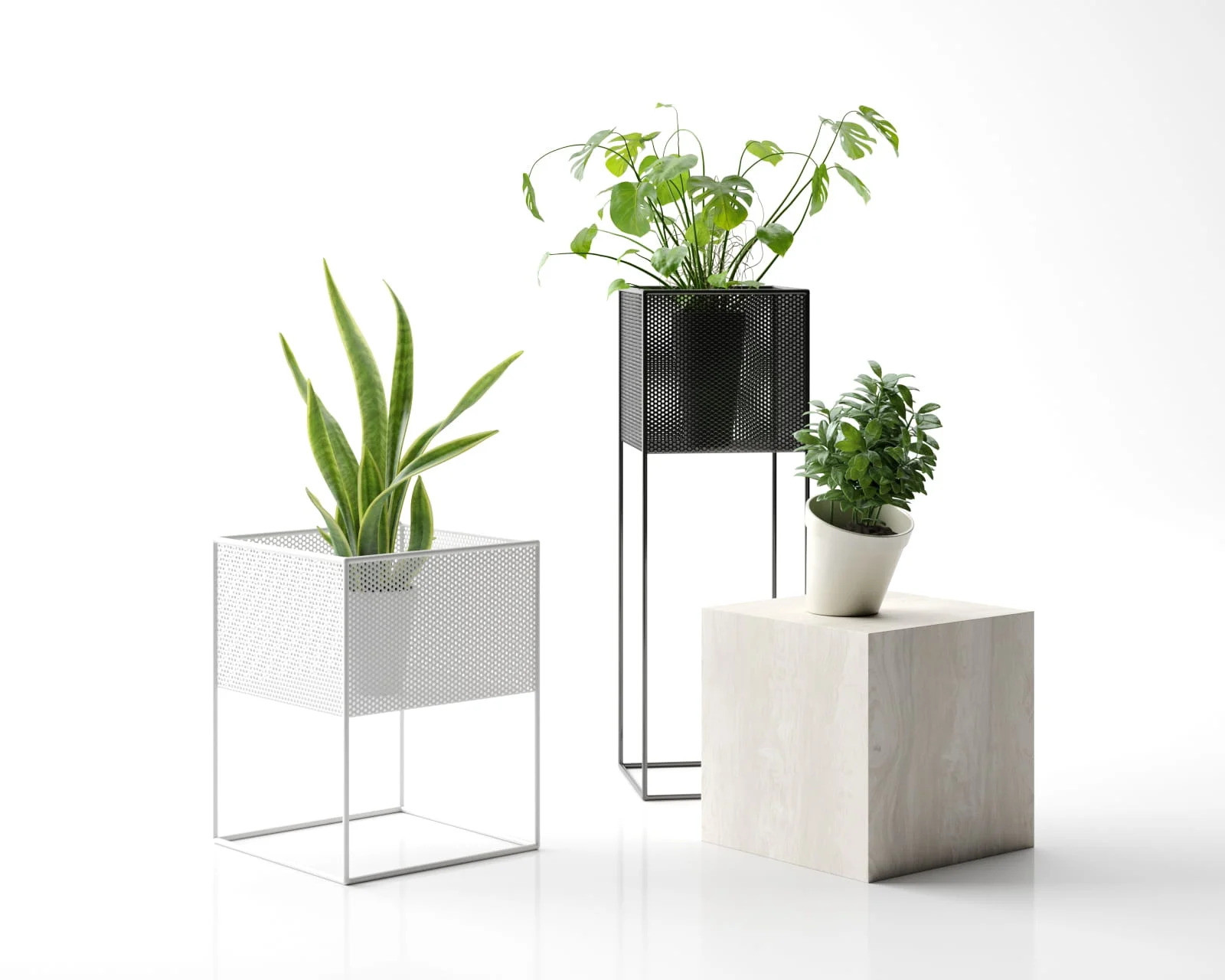 20组3ds Max家具鲜花食物餐具香水眼镜汽车珠宝V-ray渲染资产3D模型素材 Evermotion Archinterior Vol. 49 样机素材 第20张-素材湾丨精选海外优质设计素材资源 20组3ds Max家具鲜花食物餐具香水眼镜汽车珠宝V-ray渲染资产3D模型素材 Evermotion Archinterior Vol. 49 样机素材 sucaiwan.com