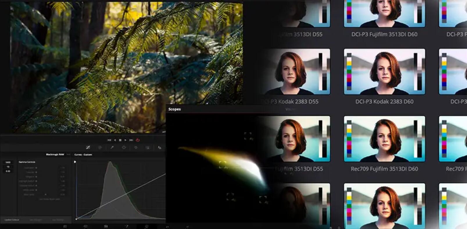 大师课程:深度了解胶片模拟仿真系列视频课程 Mixinglight – Film Print Emulation , 第1张-素材湾丨精选海外优质设计素材资源 大师课程:深度了解胶片模拟仿真系列视频课程 Mixinglight – Film Print Emulation , sucaiwan.com