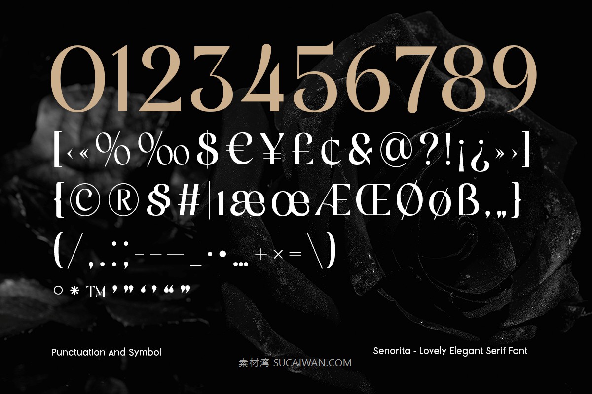 时尚优雅品牌包装婚礼请柬设计衬线英文字体安装包 Senorita – Lovely Elegant Serif Font 设计素材 sucaiwan.com