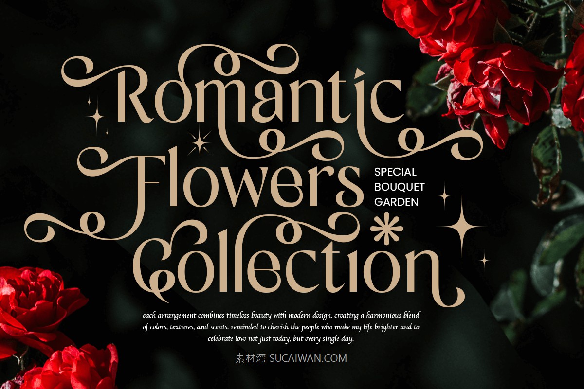 时尚优雅品牌包装婚礼请柬设计衬线英文字体安装包 Senorita – Lovely Elegant Serif Font 设计素材 sucaiwan.com