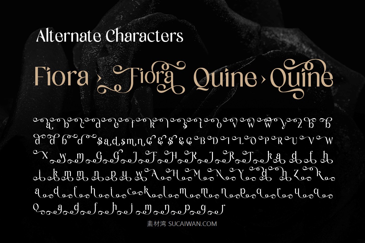 时尚优雅品牌包装婚礼请柬设计衬线英文字体安装包 Senorita – Lovely Elegant Serif Font 设计素材 sucaiwan.com