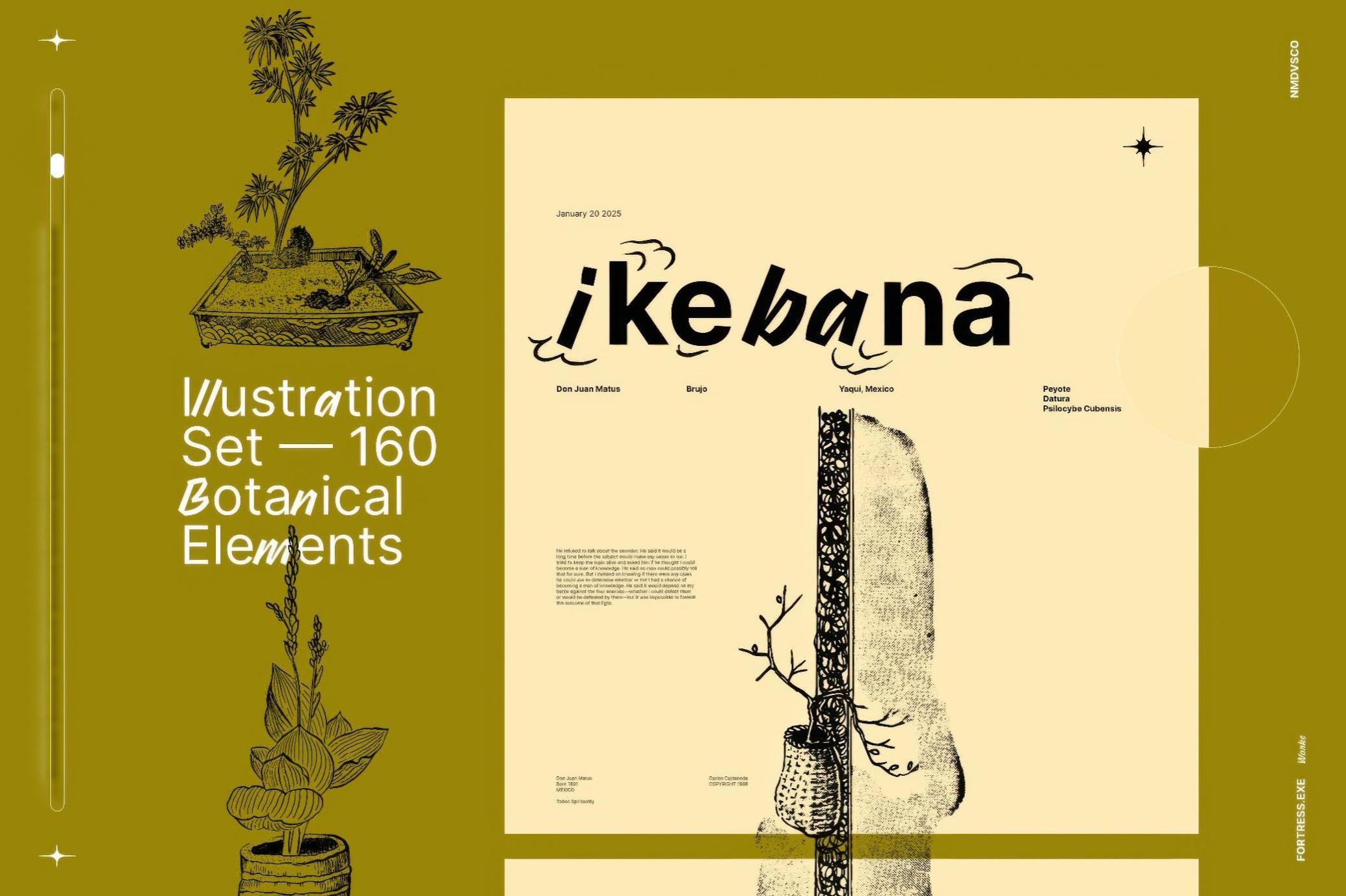 160幅复古中国风黑白手绘盆景绿植植物花卉AI矢量图/PNG免抠背景图素材 Ikebana Botanical Illustration Set 图片素材 第1张-素材湾丨精选海外优质设计素材资源 160幅复古中国风黑白手绘盆景绿植植物花卉AI矢量图/PNG免抠背景图素材 Ikebana Botanical Illustration Set 图片素材 sucaiwan.com