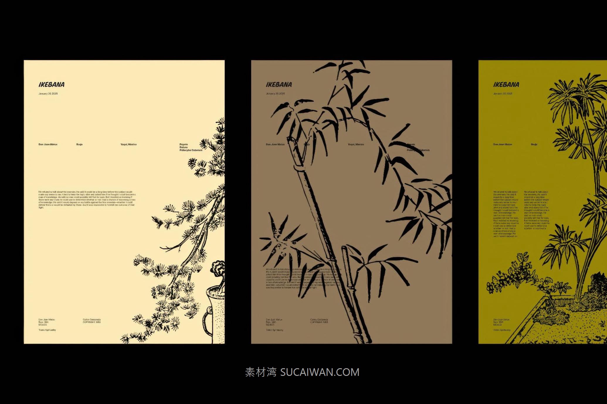 160幅复古中国风黑白手绘盆景绿植植物花卉AI矢量图/PNG免抠背景图素材 Ikebana Botanical Illustration Set 图片素材 第3张-素材湾丨精选海外优质设计素材资源 160幅复古中国风黑白手绘盆景绿植植物花卉AI矢量图/PNG免抠背景图素材 Ikebana Botanical Illustration Set 图片素材 sucaiwan.com