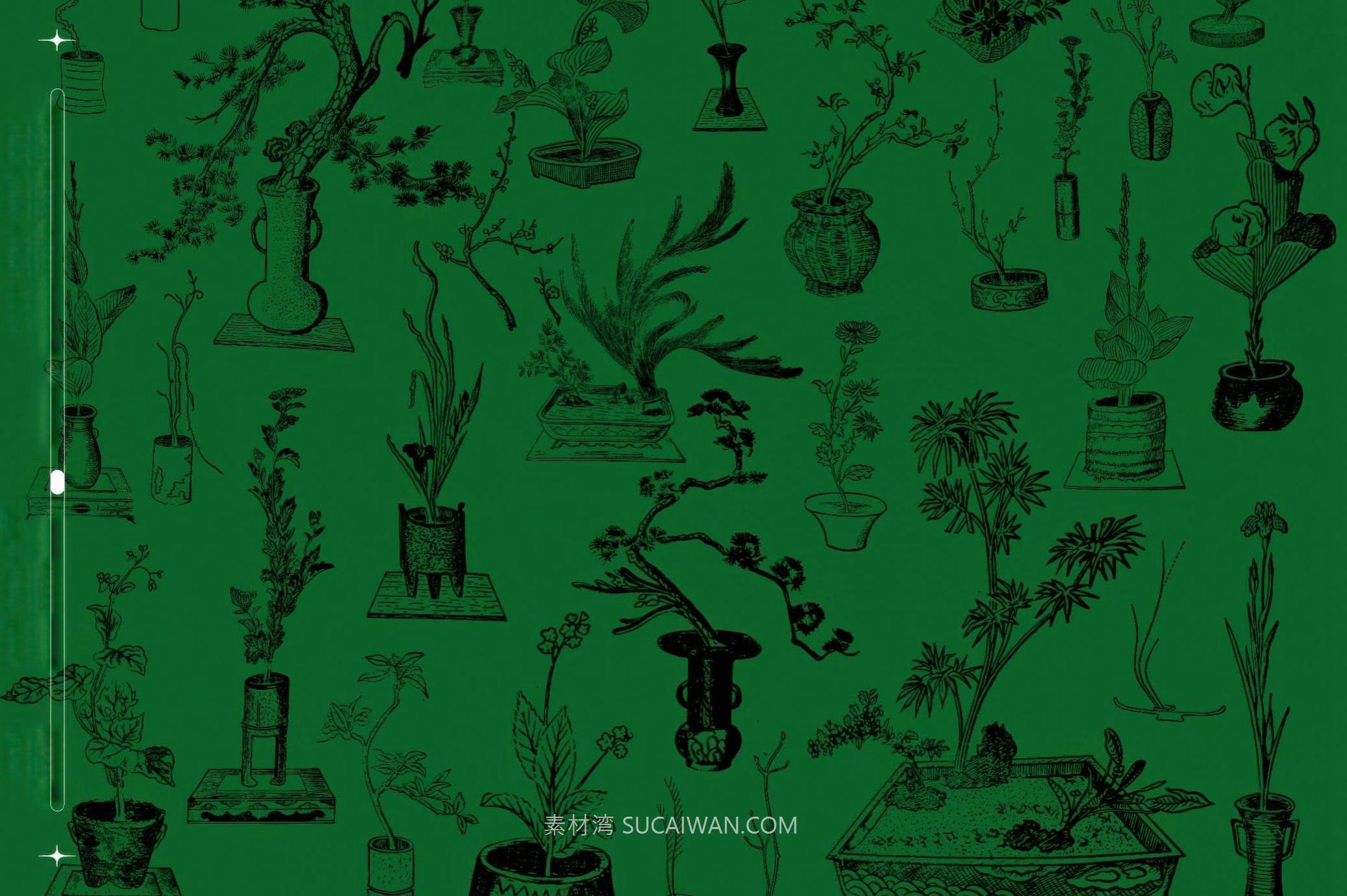 160幅复古中国风黑白手绘盆景绿植植物花卉AI矢量图/PNG免抠背景图素材 Ikebana Botanical Illustration Set 图片素材 第4张-素材湾丨精选海外优质设计素材资源 160幅复古中国风黑白手绘盆景绿植植物花卉AI矢量图/PNG免抠背景图素材 Ikebana Botanical Illustration Set 图片素材 sucaiwan.com