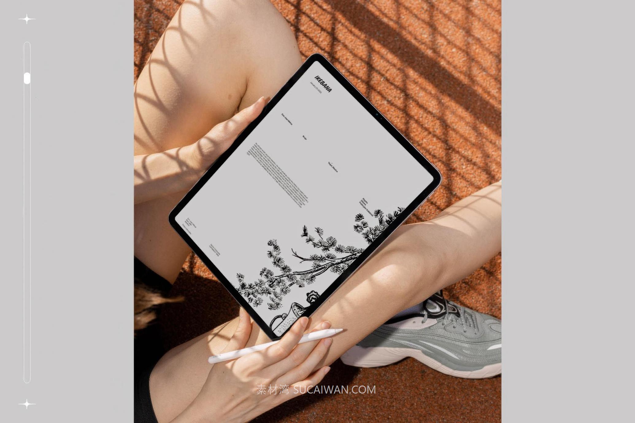 160幅复古中国风黑白手绘盆景绿植植物花卉AI矢量图/PNG免抠背景图素材 Ikebana Botanical Illustration Set 图片素材 第7张-素材湾丨精选海外优质设计素材资源 160幅复古中国风黑白手绘盆景绿植植物花卉AI矢量图/PNG免抠背景图素材 Ikebana Botanical Illustration Set 图片素材 sucaiwan.com