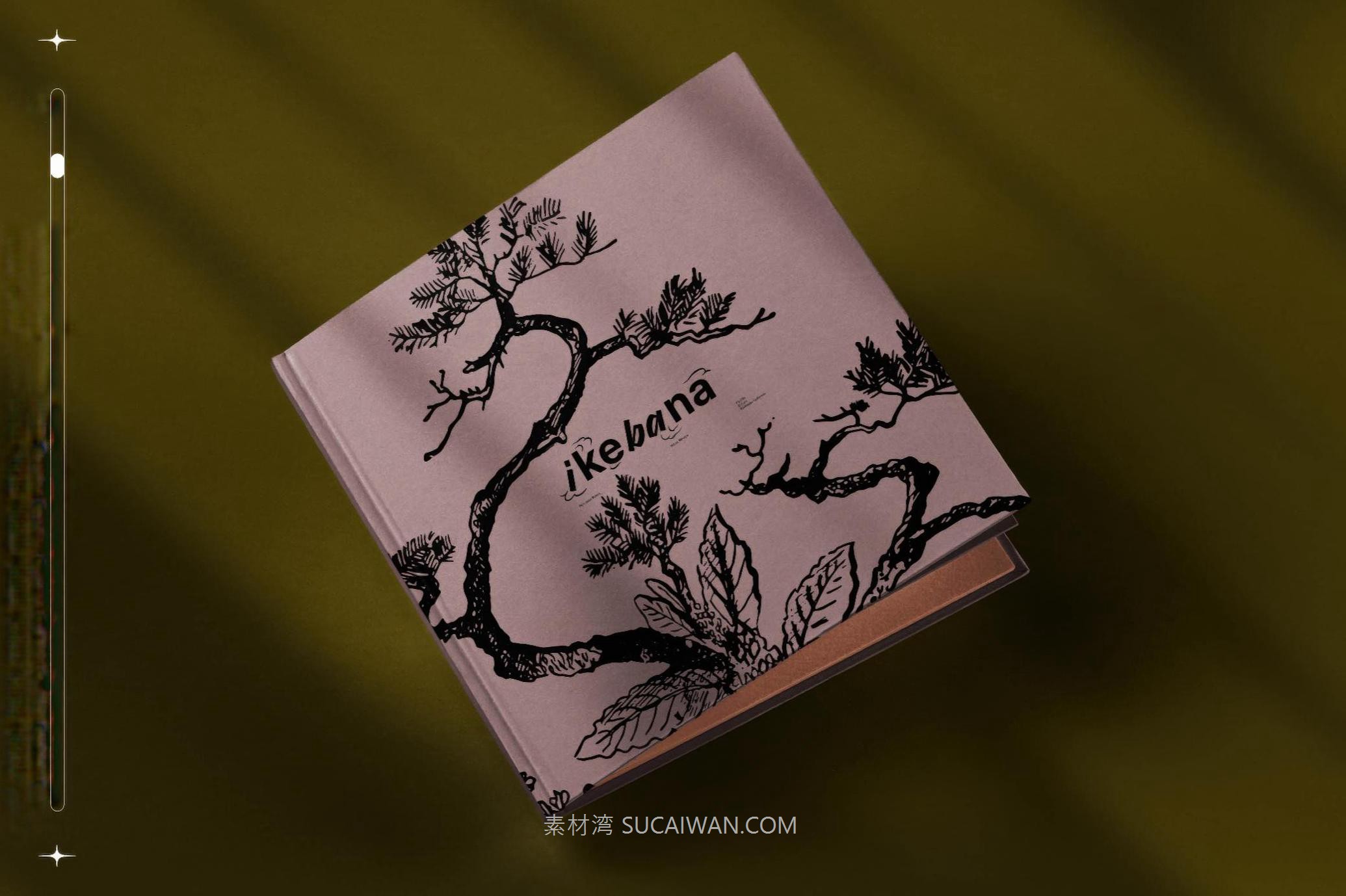 160幅复古中国风黑白手绘盆景绿植植物花卉AI矢量图/PNG免抠背景图素材 Ikebana Botanical Illustration Set 图片素材 第6张-素材湾丨精选海外优质设计素材资源 160幅复古中国风黑白手绘盆景绿植植物花卉AI矢量图/PNG免抠背景图素材 Ikebana Botanical Illustration Set 图片素材 sucaiwan.com