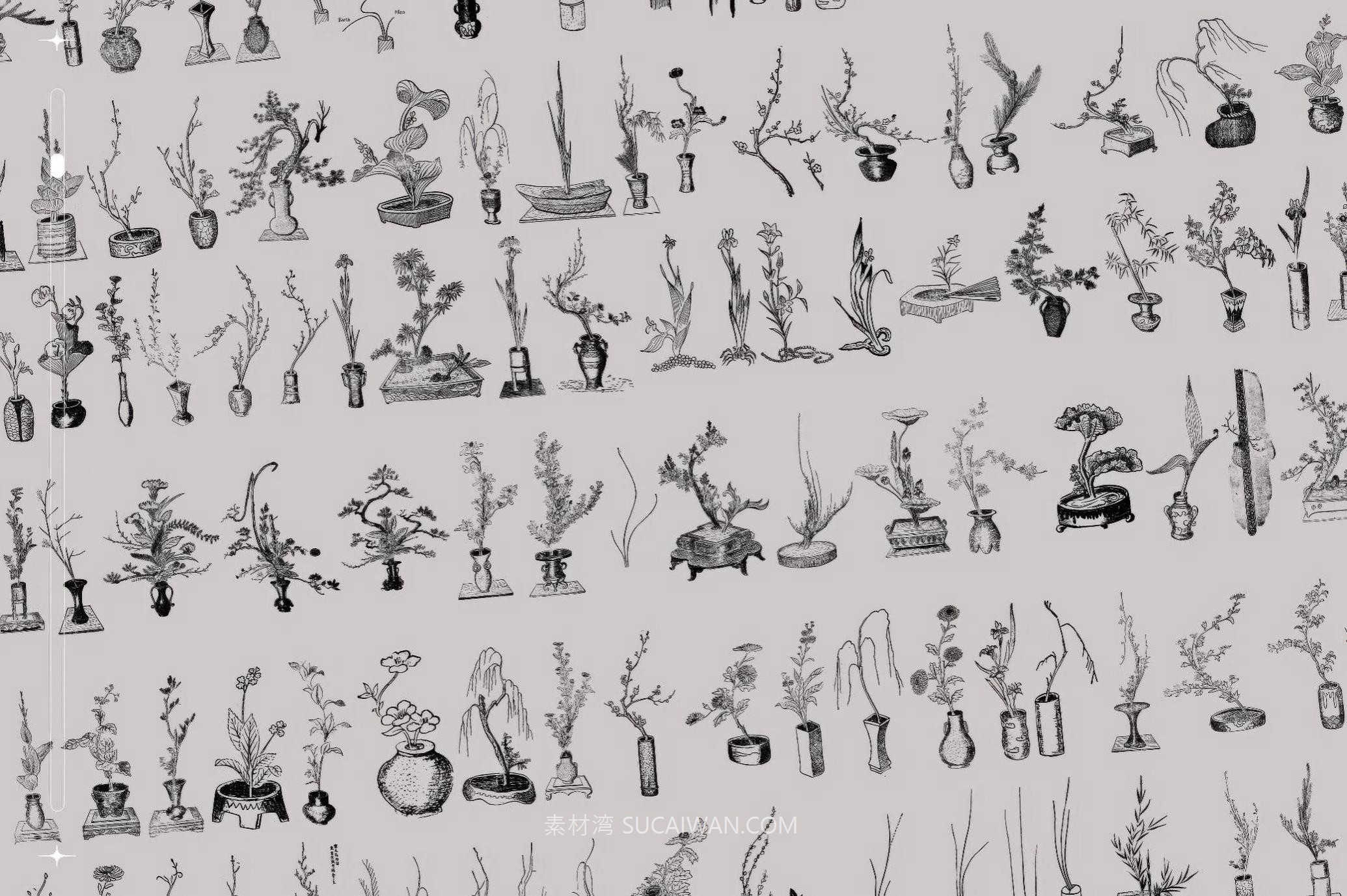 160幅复古中国风黑白手绘盆景绿植植物花卉AI矢量图/PNG免抠背景图素材 Ikebana Botanical Illustration Set 图片素材 第5张-素材湾丨精选海外优质设计素材资源 160幅复古中国风黑白手绘盆景绿植植物花卉AI矢量图/PNG免抠背景图素材 Ikebana Botanical Illustration Set 图片素材 sucaiwan.com