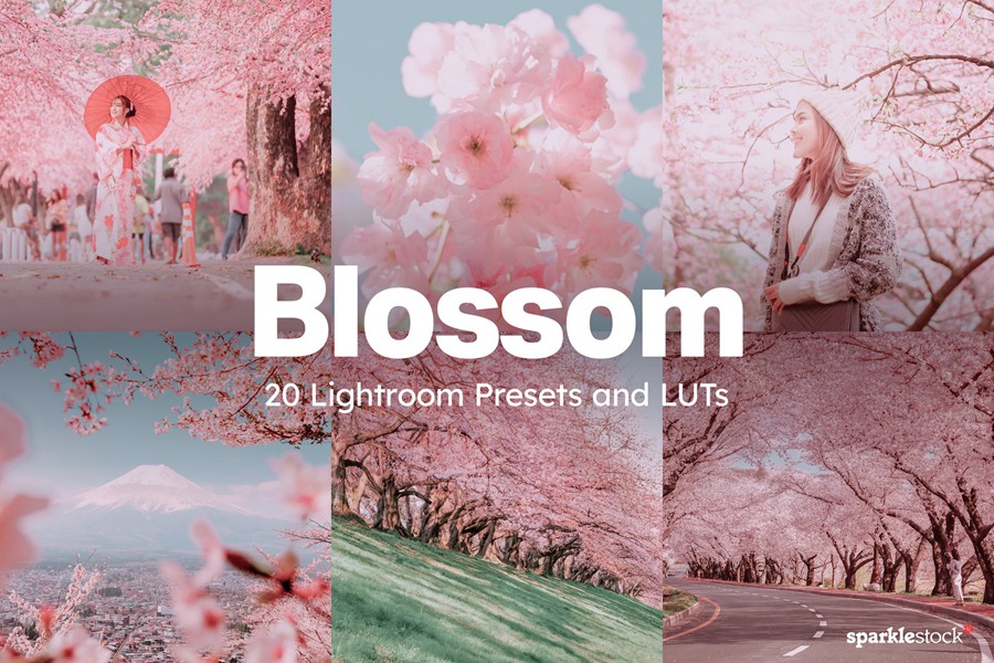 20组柔和色调粉色樱花旅拍摄影照片调色Lightroom&lut预设 20 Blossom Lightroom Presets and LUTs , 第1张-素材湾丨精选海外优质设计素材资源 20组柔和色调粉色樱花旅拍摄影照片调色Lightroom&lut预设 20 Blossom Lightroom Presets and LUTs , sucaiwan.com