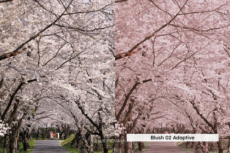 20组柔和色调粉色樱花旅拍摄影照片调色Lightroom&lut预设 20 Blossom Lightroom Presets and LUTs , 第2张-素材湾丨精选海外优质设计素材资源 20组柔和色调粉色樱花旅拍摄影照片调色Lightroom&lut预设 20 Blossom Lightroom Presets and LUTs , sucaiwan.com