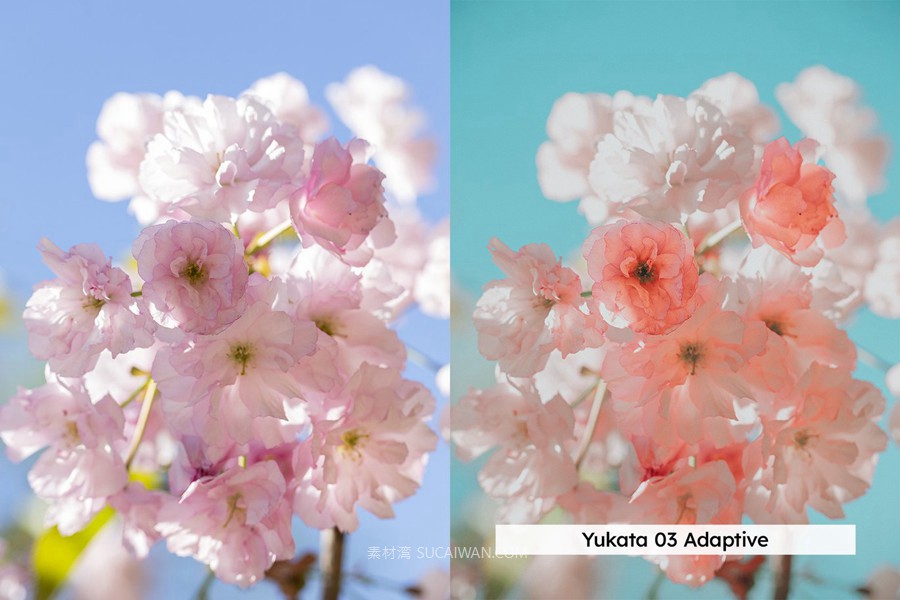 20组柔和色调粉色樱花旅拍摄影照片调色Lightroom&lut预设 20 Blossom Lightroom Presets and LUTs , 第3张-素材湾丨精选海外优质设计素材资源 20组柔和色调粉色樱花旅拍摄影照片调色Lightroom&lut预设 20 Blossom Lightroom Presets and LUTs , sucaiwan.com