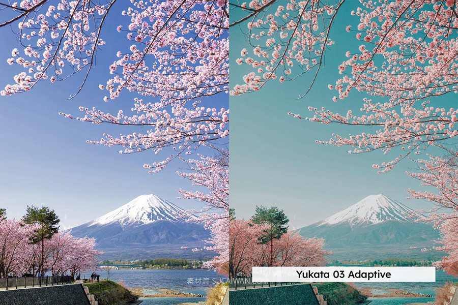 20组柔和色调粉色樱花旅拍摄影照片调色Lightroom&lut预设 20 Blossom Lightroom Presets and LUTs , 第4张-素材湾丨精选海外优质设计素材资源 20组柔和色调粉色樱花旅拍摄影照片调色Lightroom&lut预设 20 Blossom Lightroom Presets and LUTs , sucaiwan.com