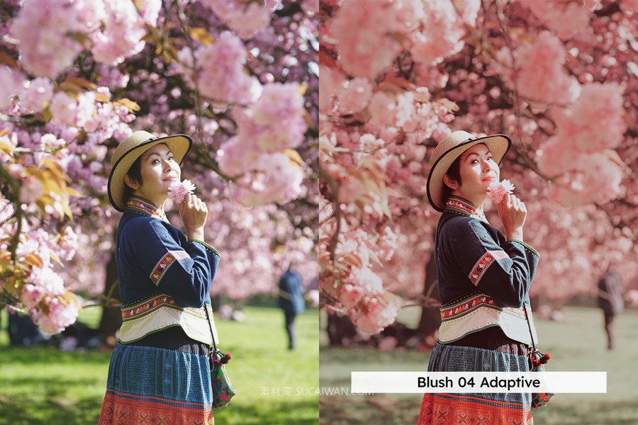 20组柔和色调粉色樱花旅拍摄影照片调色Lightroom&lut预设 20 Blossom Lightroom Presets and LUTs , 第5张-素材湾丨精选海外优质设计素材资源 20组柔和色调粉色樱花旅拍摄影照片调色Lightroom&lut预设 20 Blossom Lightroom Presets and LUTs , sucaiwan.com