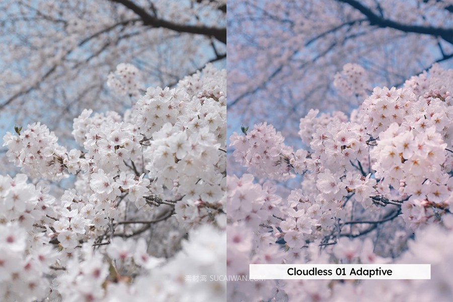 20组柔和色调粉色樱花旅拍摄影照片调色Lightroom&lut预设 20 Blossom Lightroom Presets and LUTs , 第6张-素材湾丨精选海外优质设计素材资源 20组柔和色调粉色樱花旅拍摄影照片调色Lightroom&lut预设 20 Blossom Lightroom Presets and LUTs , sucaiwan.com