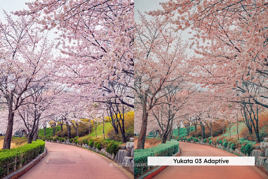 20组柔和色调粉色樱花旅拍摄影照片调色Lightroom&lut预设 20 Blossom Lightroom Presets and LUTs , 第9张-素材湾丨精选海外优质设计素材资源 20组柔和色调粉色樱花旅拍摄影照片调色Lightroom&lut预设 20 Blossom Lightroom Presets and LUTs , sucaiwan.com