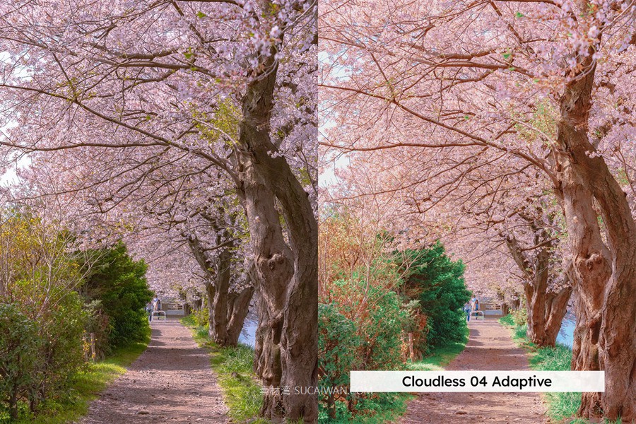 20组柔和色调粉色樱花旅拍摄影照片调色Lightroom&lut预设 20 Blossom Lightroom Presets and LUTs , 第8张-素材湾丨精选海外优质设计素材资源 20组柔和色调粉色樱花旅拍摄影照片调色Lightroom&lut预设 20 Blossom Lightroom Presets and LUTs , sucaiwan.com
