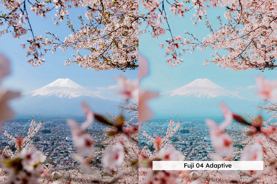 20组柔和色调粉色樱花旅拍摄影照片调色Lightroom&lut预设 20 Blossom Lightroom Presets and LUTs , 第7张-素材湾丨精选海外优质设计素材资源 20组柔和色调粉色樱花旅拍摄影照片调色Lightroom&lut预设 20 Blossom Lightroom Presets and LUTs , sucaiwan.com