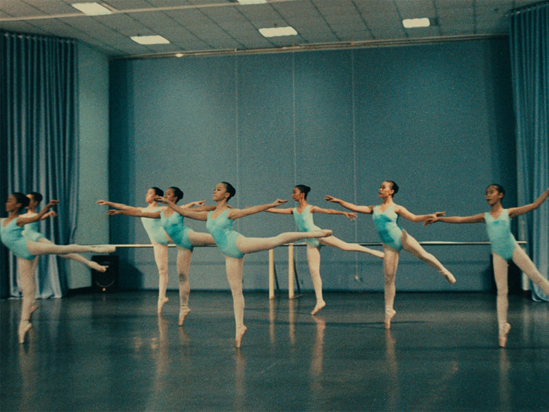 史上最贵商业级胶片仿真模拟LUT调色预设 The Brim - ARRI+Print Kit , 第6张-素材湾丨精选海外优质设计素材资源 史上最贵商业级胶片仿真模拟LUT调色预设 The Brim - ARRI+Print Kit , sucaiwan.com