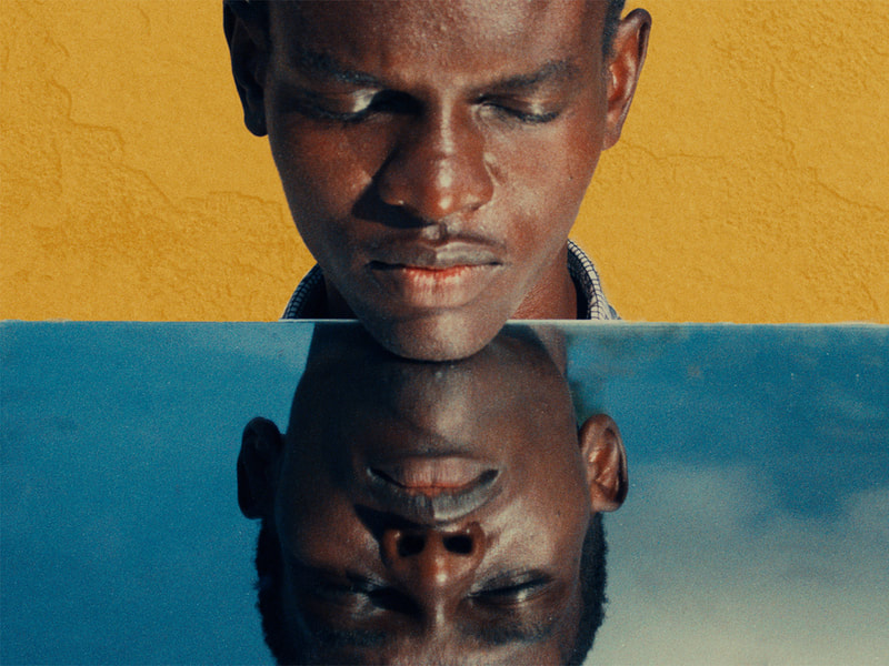 史上最贵商业级胶片仿真模拟LUT调色预设 The Brim - ARRI+Print Kit , 第9张-素材湾丨精选海外优质设计素材资源 史上最贵商业级胶片仿真模拟LUT调色预设 The Brim - ARRI+Print Kit , sucaiwan.com