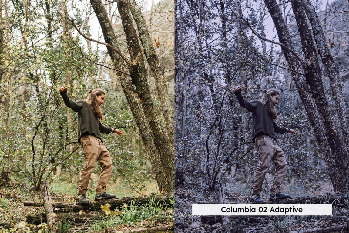 20组灰紫色调未来科幻电影摄影照片调色Lightroom&LUT预设 20 SciFi Film Lightroom Presets and LUTs , 第10张-素材湾丨精选海外优质设计素材资源 20组灰紫色调未来科幻电影摄影照片调色Lightroom&LUT预设 20 SciFi Film Lightroom Presets and LUTs , sucaiwan.com