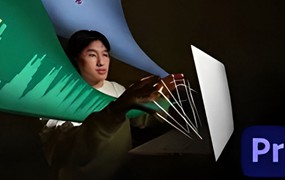 大师课程：将PR的视频编辑速度提高三倍 Triple Your Editing Speed in Adobe Premiere