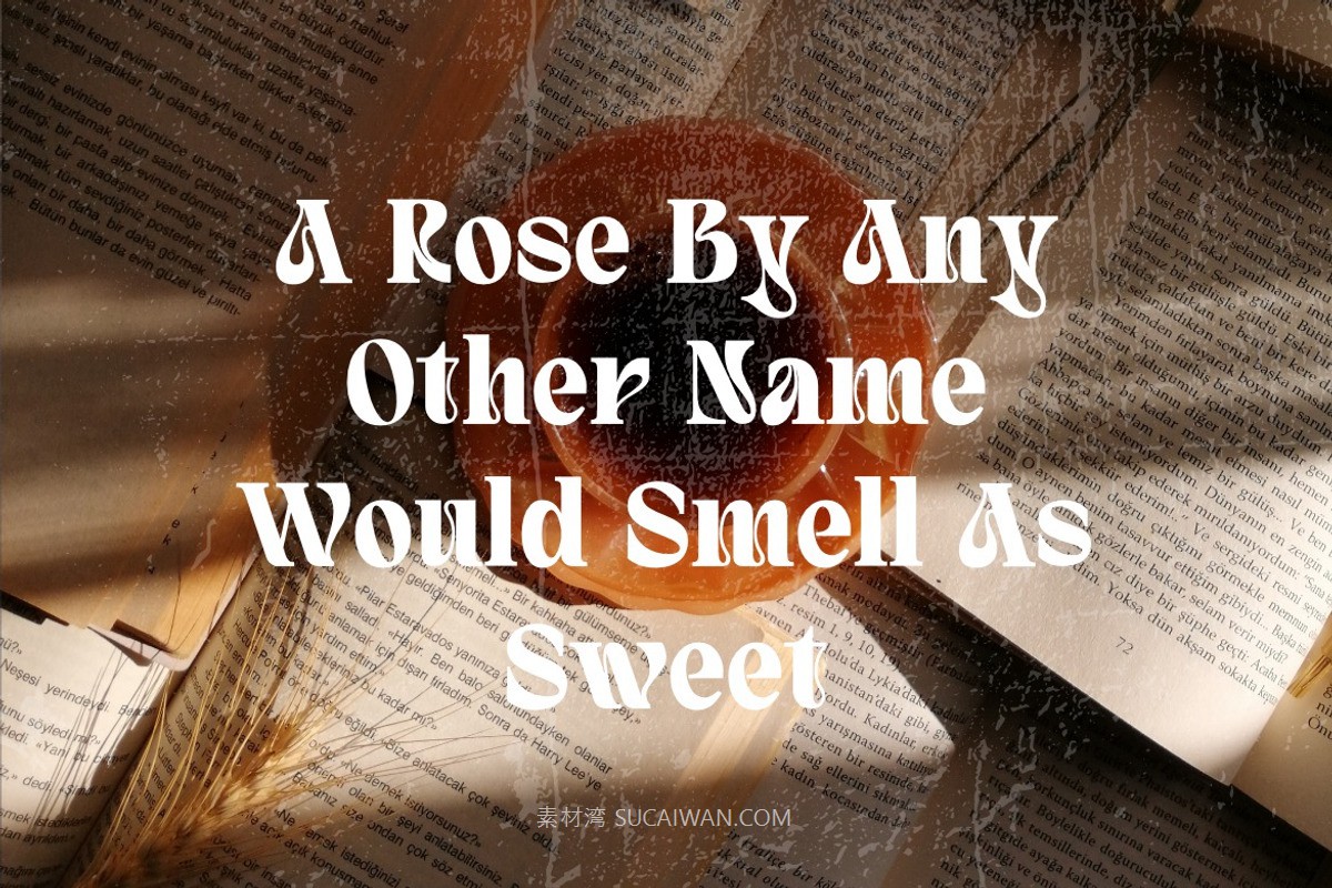 现代优雅杂志海报包装徽标设计衬线英文字体安装包 Quivert – Serif Display Font , 第8张-素材湾丨精选海外优质设计素材资源 现代优雅杂志海报包装徽标设计衬线英文字体安装包 Quivert – Serif Display Font , sucaiwan.com