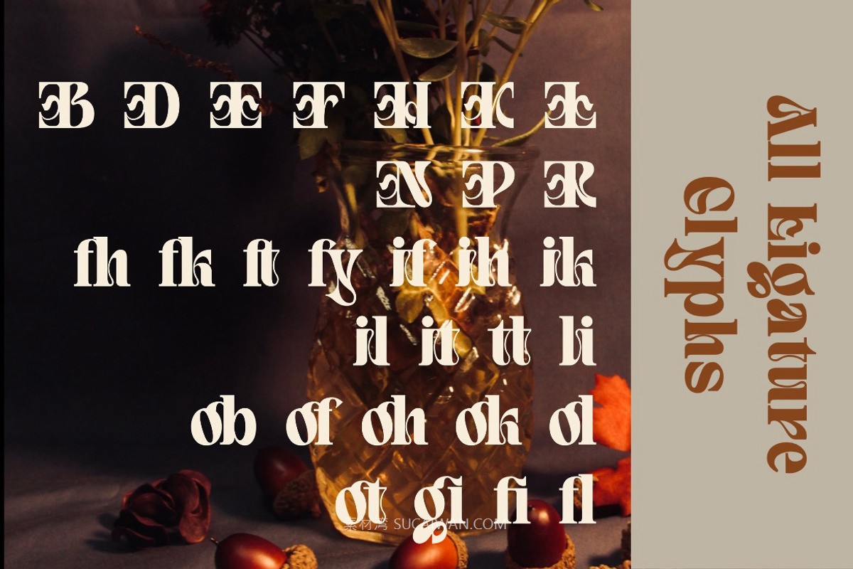 现代优雅杂志海报包装徽标设计衬线英文字体安装包 Quivert – Serif Display Font , 第7张-素材湾丨精选海外优质设计素材资源 现代优雅杂志海报包装徽标设计衬线英文字体安装包 Quivert – Serif Display Font , sucaiwan.com