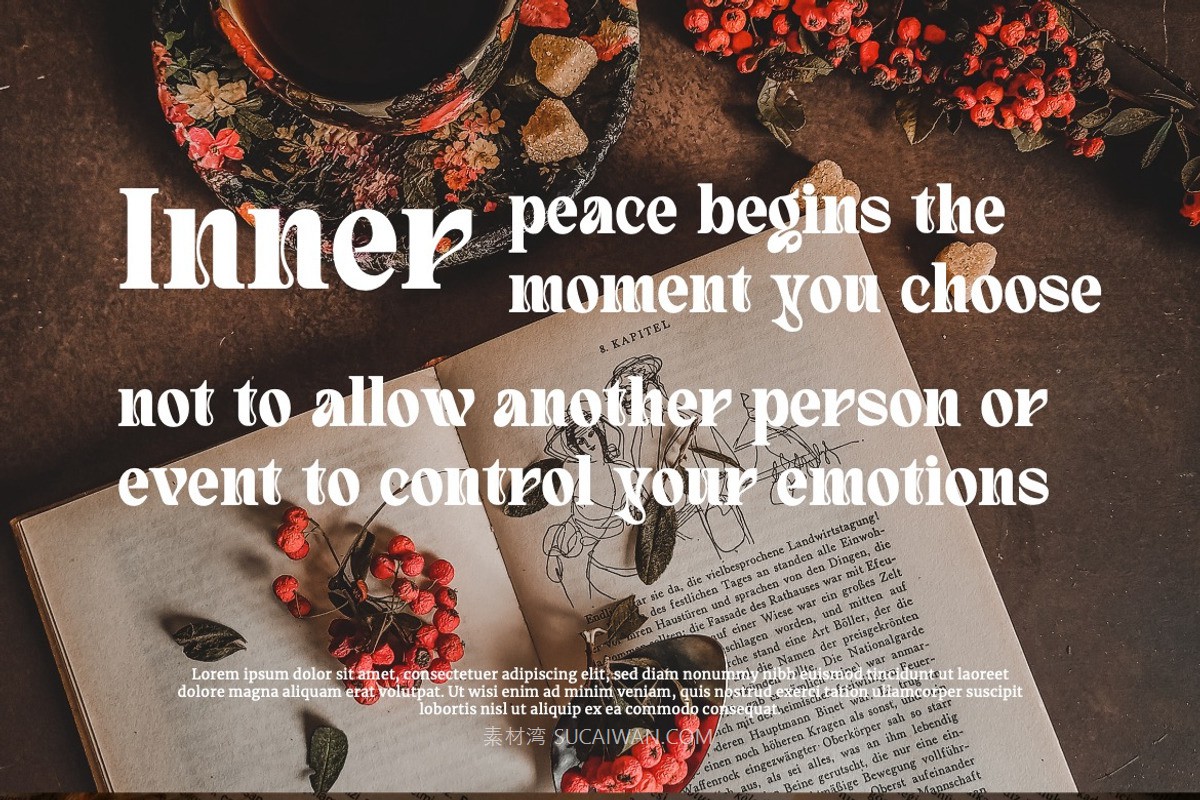 现代优雅杂志海报包装徽标设计衬线英文字体安装包 Quivert – Serif Display Font , 第10张-素材湾丨精选海外优质设计素材资源 现代优雅杂志海报包装徽标设计衬线英文字体安装包 Quivert – Serif Display Font , sucaiwan.com