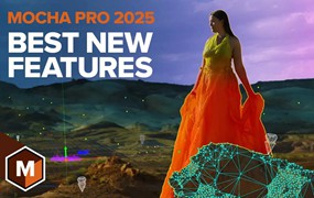 影视后期摄像机反求跟踪摩卡AE/PR/OFX/AVX软件插件 (Win&Mac) Boris FX Mocha Pro 2025 v12.0.1
