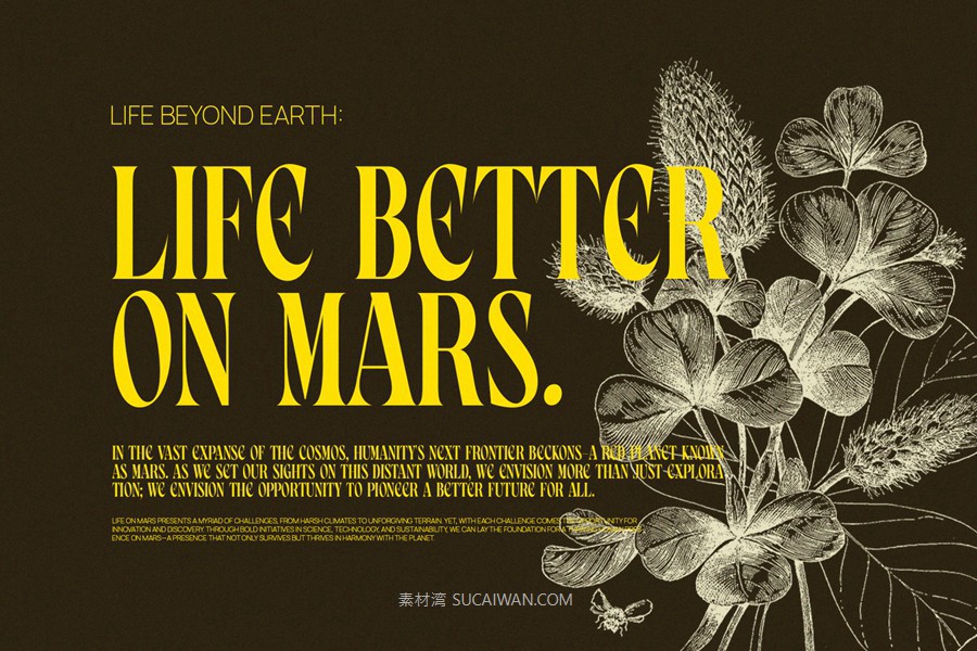 英文字体：现代奢华美学优雅精致标题排版衬线产品包装摄影婚礼海报设计字体 Glamick Modern Elegant Serif Font Typeface , sucaiwan.com