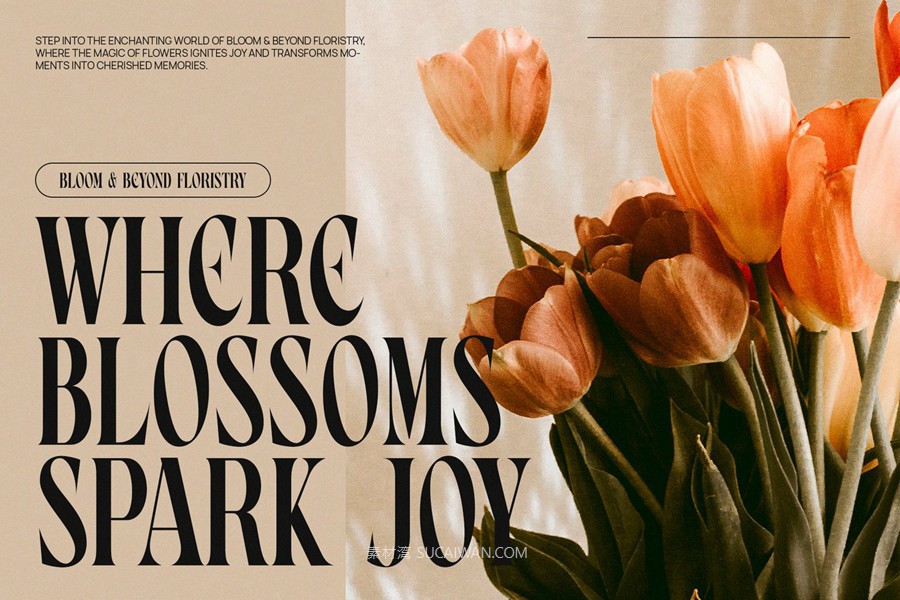 英文字体：现代奢华美学优雅精致标题排版衬线产品包装摄影婚礼海报设计字体 Glamick Modern Elegant Serif Font Typeface , sucaiwan.com