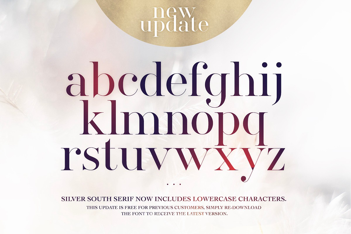 现代优雅婚礼品牌标题logo手写签名衬线字体字体家族设计素材 Silver South Font Duo , 第2张-素材湾丨精选海外优质设计素材资源 现代优雅婚礼品牌标题logo手写签名衬线字体字体家族设计素材 Silver South Font Duo , sucaiwan.com