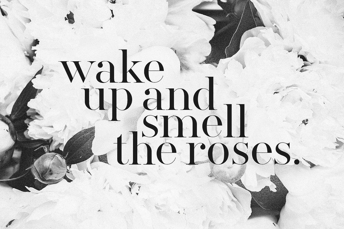 现代优雅婚礼品牌标题logo手写签名衬线字体字体家族设计素材 Silver South Font Duo , 第3张-素材湾丨精选海外优质设计素材资源 现代优雅婚礼品牌标题logo手写签名衬线字体字体家族设计素材 Silver South Font Duo , sucaiwan.com