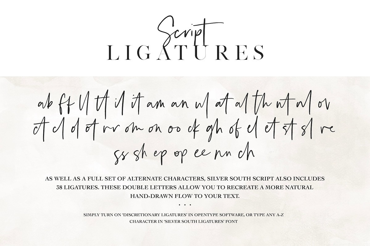 现代优雅婚礼品牌标题logo手写签名衬线字体字体家族设计素材 Silver South Font Duo , 第13张-素材湾丨精选海外优质设计素材资源 现代优雅婚礼品牌标题logo手写签名衬线字体字体家族设计素材 Silver South Font Duo , sucaiwan.com