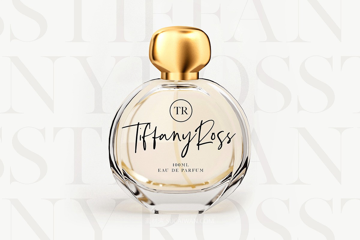 现代优雅婚礼品牌标题logo手写签名衬线字体字体家族设计素材 Silver South Font Duo , 第12张-素材湾丨精选海外优质设计素材资源 现代优雅婚礼品牌标题logo手写签名衬线字体字体家族设计素材 Silver South Font Duo , sucaiwan.com