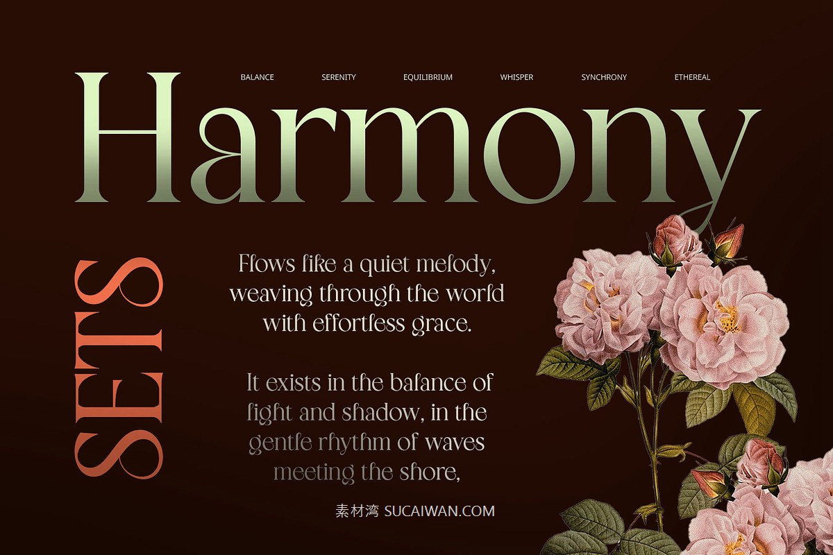 时尚复古新艺术风品牌海报徽标设计衬线英文字体安装包 Blessing – Art Nouveau Font , sucaiwan.com