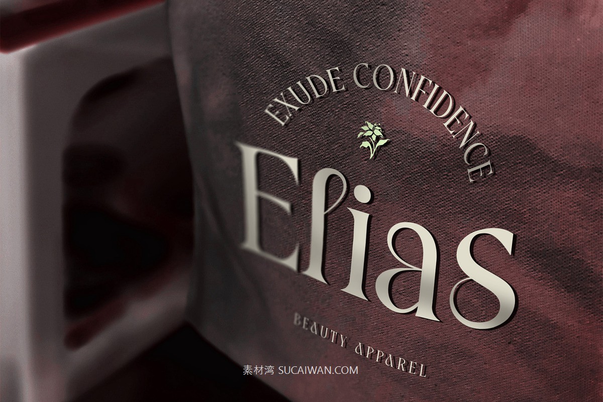 时尚复古新艺术风品牌海报徽标设计衬线英文字体安装包 Blessing – Art Nouveau Font , sucaiwan.com