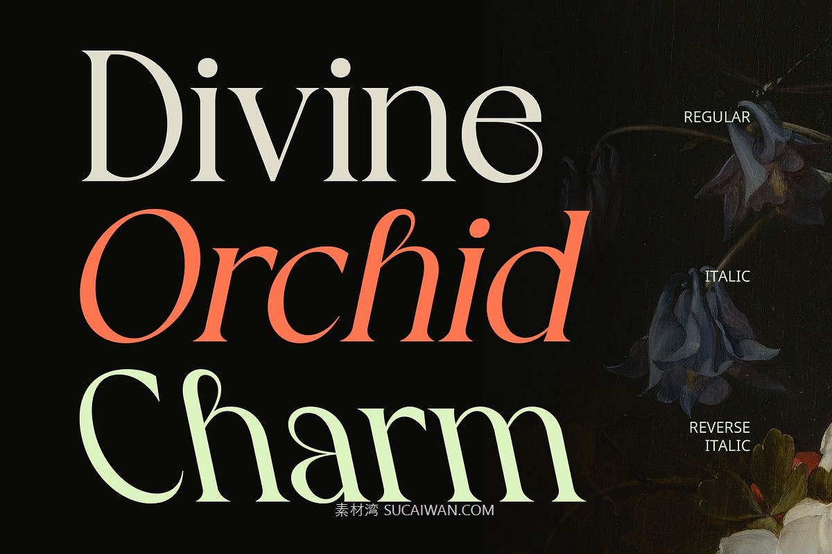 时尚复古新艺术风品牌海报徽标设计衬线英文字体安装包 Blessing – Art Nouveau Font , sucaiwan.com