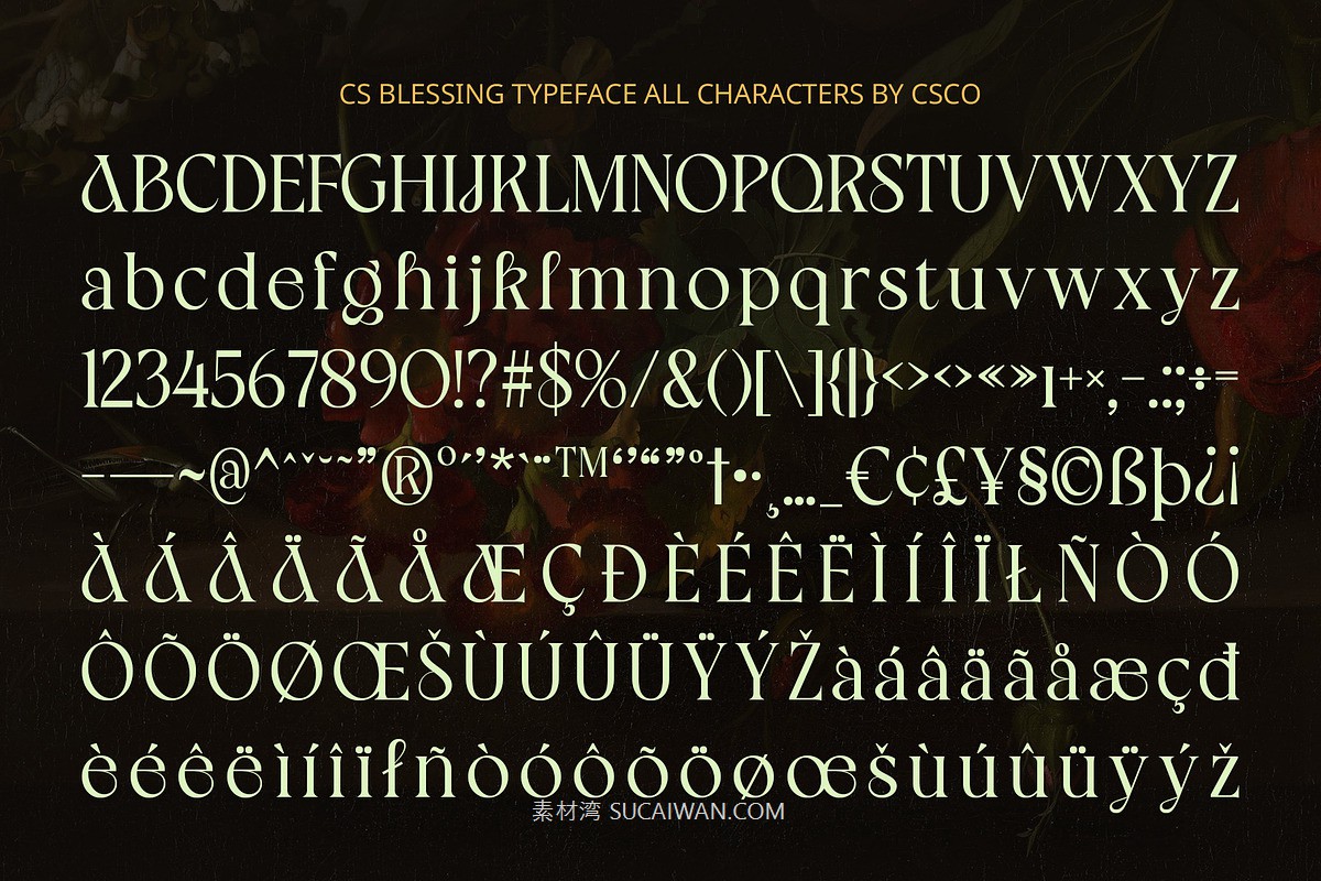 时尚复古新艺术风品牌海报徽标设计衬线英文字体安装包 Blessing – Art Nouveau Font , sucaiwan.com