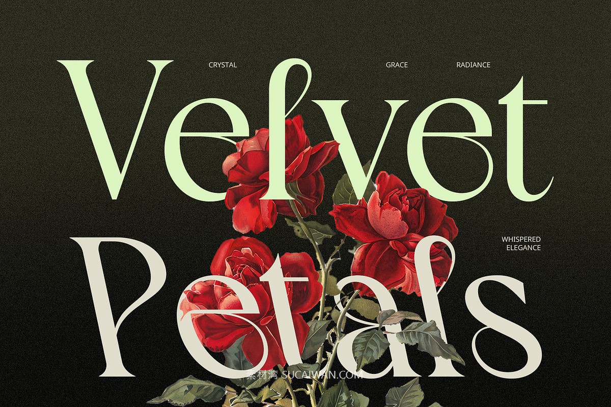 时尚复古新艺术风品牌海报徽标设计衬线英文字体安装包 Blessing – Art Nouveau Font , sucaiwan.com