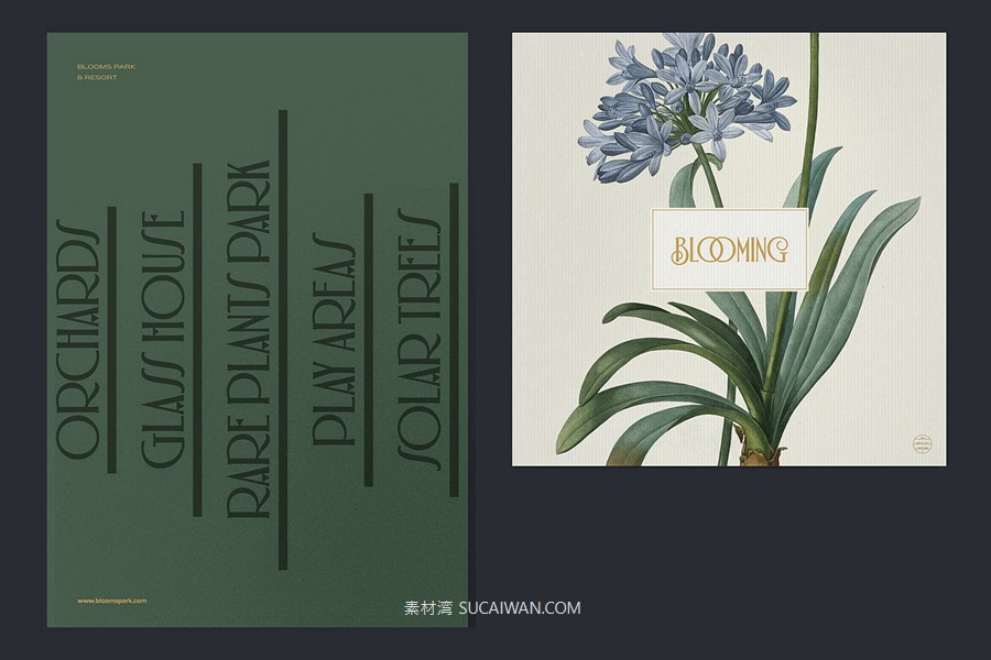 新艺术法国风格优雅品牌标志Logo设计装饰英文字体安装包 Alathena Font Family by Sundance Tipografia , 第9张-素材湾丨精选海外优质设计素材资源 新艺术法国风格优雅品牌标志Logo设计装饰英文字体安装包 Alathena Font Family by Sundance Tipografia , sucaiwan.com