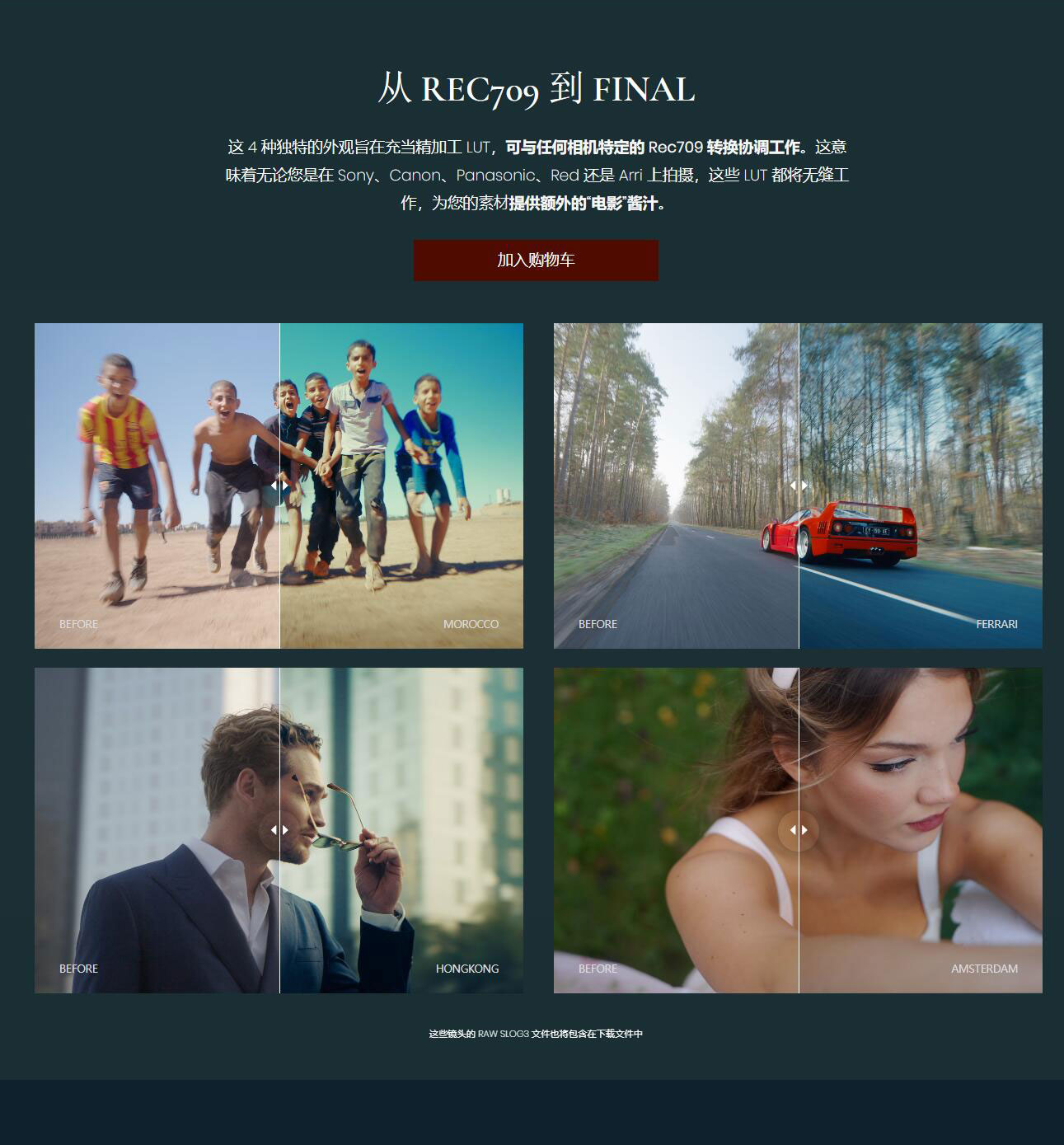 Reilín Joey - The SECRET SAUCE(Premium) 热门电影制作胶片模拟LUT/POWERGRADE后期调色套装包 + 灰片视频 + 色彩校正和色彩分级大师课程  (中文字幕) , 第6张-素材湾丨精选海外优质设计素材资源 Reilín Joey - The SECRET SAUCE(Premium) 热门电影制作胶片模拟LUT/POWERGRADE后期调色套装包 + 灰片视频 + 色彩校正和色彩分级大师课程  (中文字幕) , sucaiwan.com