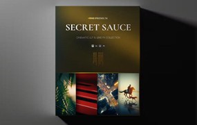 Reilín Joey - The SECRET SAUCE(Premium) 热门电影制作胶片模拟LUT/POWERGRADE后期调色套装包 + 灰片视频 + 色彩校正和色彩分级大师课程  (中文字幕)