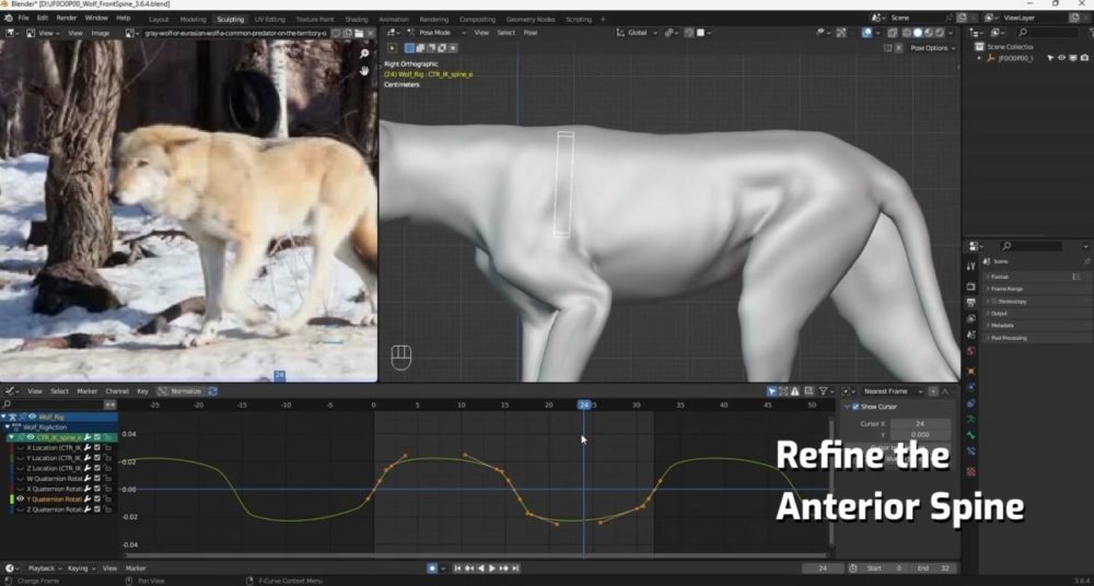 Vfx Grace Wolf Animation Blender野狼动物3D骨骼绑定动画视频教程 中英文字幕 , 第6张-素材湾丨精选海外优质设计素材资源 Vfx Grace Wolf Animation Blender野狼动物3D骨骼绑定动画视频教程 中英文字幕 , sucaiwan.com