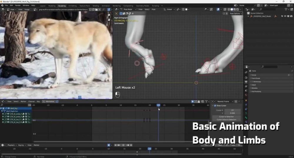 Vfx Grace Wolf Animation Blender野狼动物3D骨骼绑定动画视频教程 中英文字幕 , 第5张-素材湾丨精选海外优质设计素材资源 Vfx Grace Wolf Animation Blender野狼动物3D骨骼绑定动画视频教程 中英文字幕 , sucaiwan.com