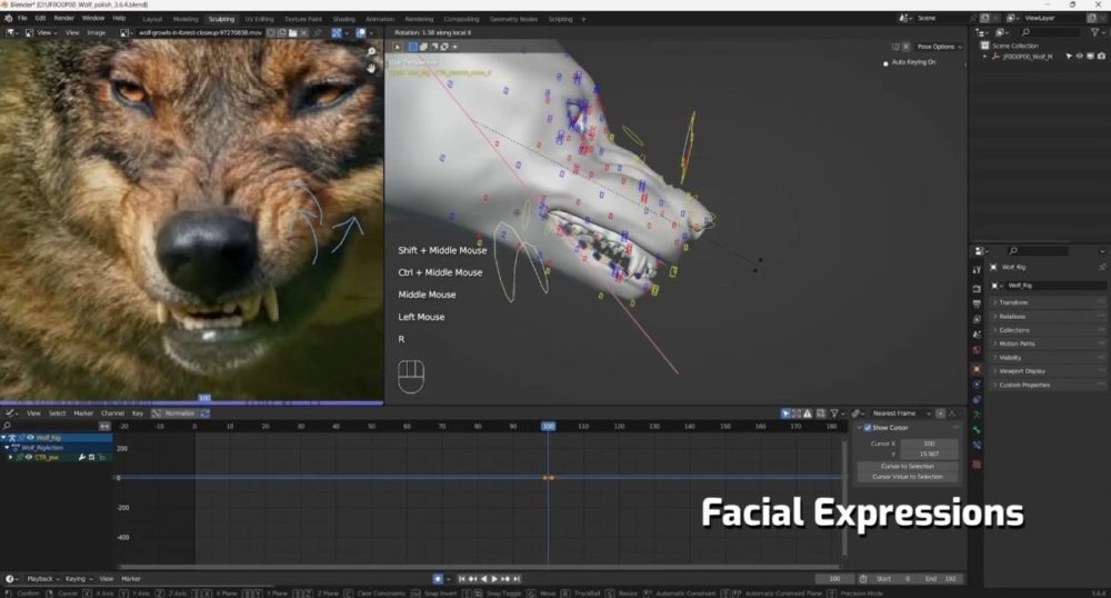 Vfx Grace Wolf Animation Blender野狼动物3D骨骼绑定动画视频教程 中英文字幕 , 第8张-素材湾丨精选海外优质设计素材资源 Vfx Grace Wolf Animation Blender野狼动物3D骨骼绑定动画视频教程 中英文字幕 , sucaiwan.com
