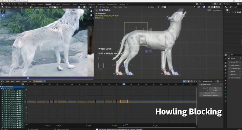 Vfx Grace Wolf Animation Blender野狼动物3D骨骼绑定动画视频教程 中英文字幕 , 第9张-素材湾丨精选海外优质设计素材资源 Vfx Grace Wolf Animation Blender野狼动物3D骨骼绑定动画视频教程 中英文字幕 , sucaiwan.com