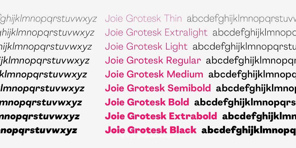 现代极简主义几何风标牌标题Logo设计无衬线英文字体安装包 Joie Grotesk Font Family , sucaiwan.com