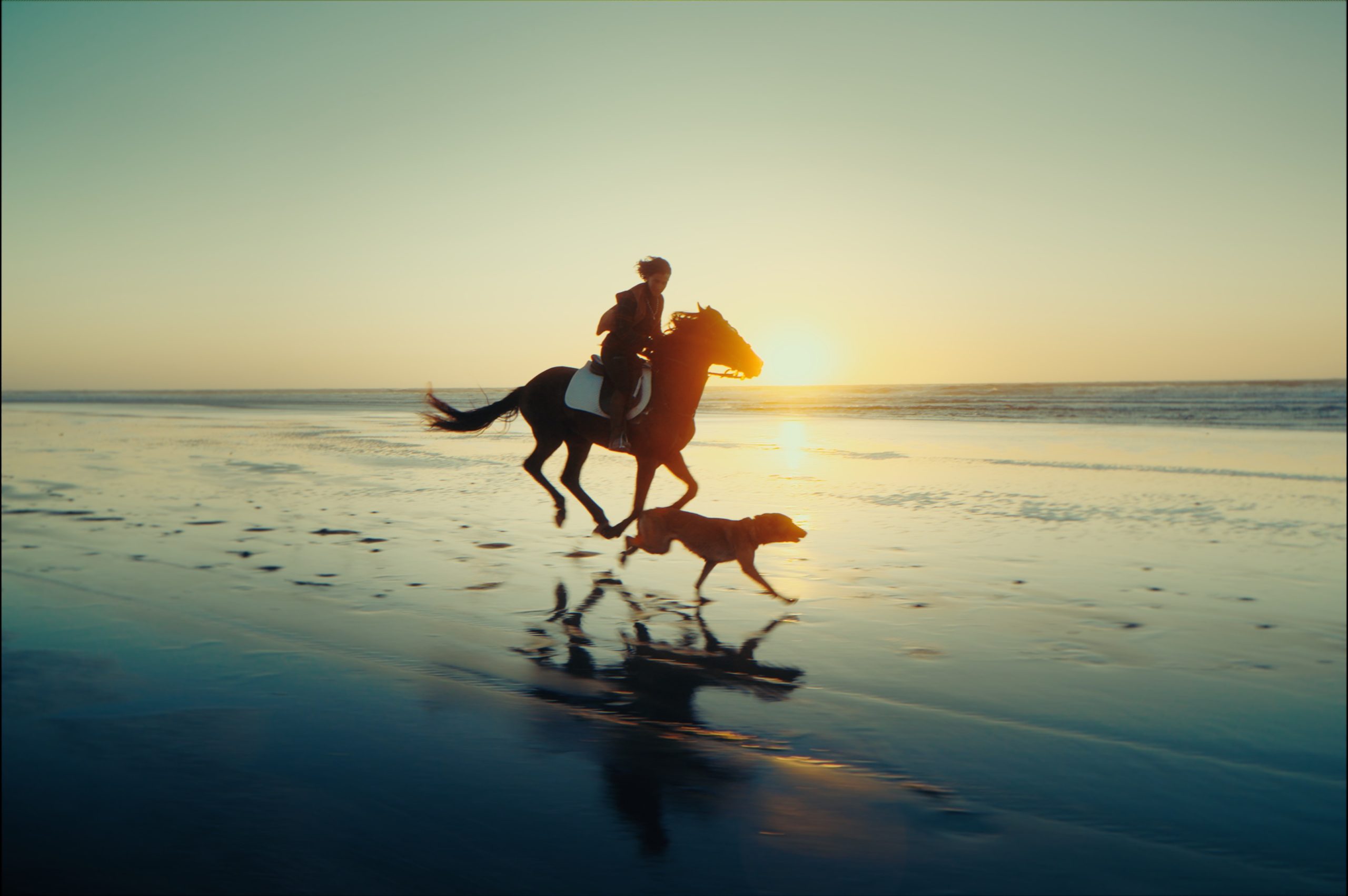 Reilín Joey - The SECRET SAUCE(Premium) 热门电影制作胶片模拟LUT/POWERGRADE后期调色套装包 + 灰片视频 + 色彩校正和色彩分级大师课程  (中文字幕) , 第9张-素材湾丨精选海外优质设计素材资源 Reilín Joey - The SECRET SAUCE(Premium) 热门电影制作胶片模拟LUT/POWERGRADE后期调色套装包 + 灰片视频 + 色彩校正和色彩分级大师课程  (中文字幕) , sucaiwan.com